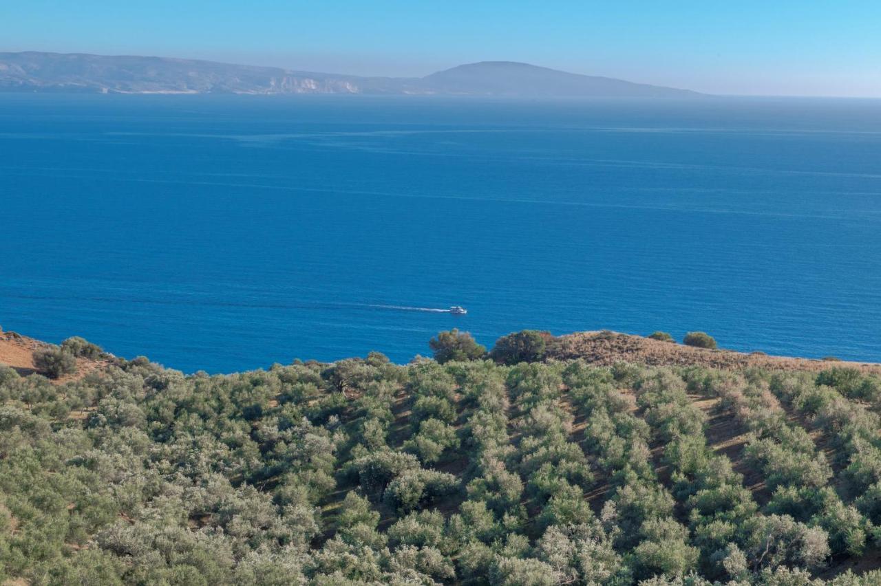 Tranquil Sea View Villa With Private Pool, Just 2Km From The Beach! Агиа Галини Экстерьер фото